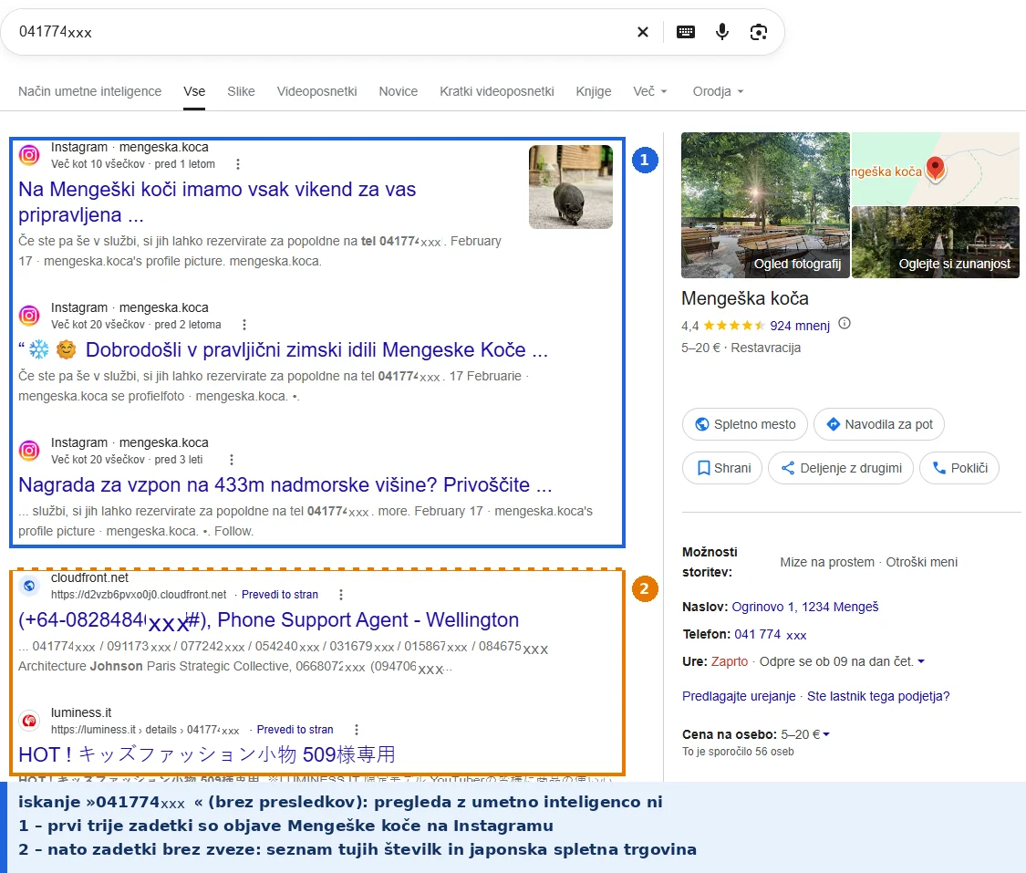 Iskanje številke brez presledkov: brez pregleda z umetno inteligenco, prvi zadetki so objave koče na Instagramu