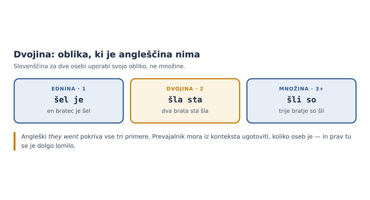 Ednina, dvojina in množina. Angleščina vse tri pokrije z isto obliko.
