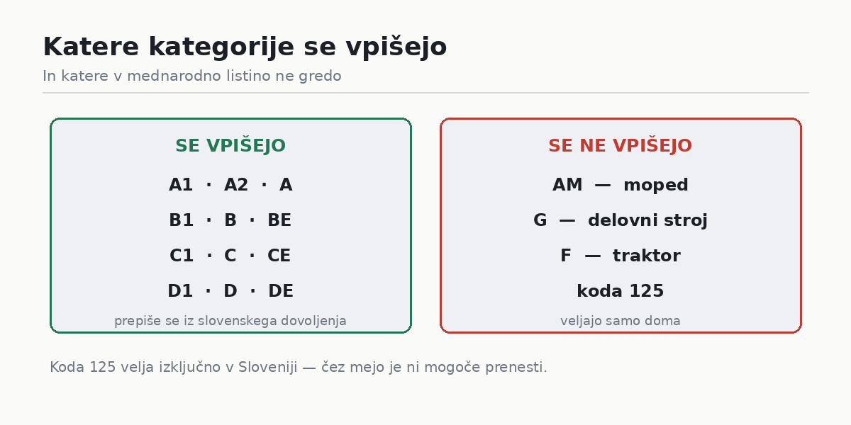 Katere kategorije se vpišejo v mednarodno vozniško dovoljenje