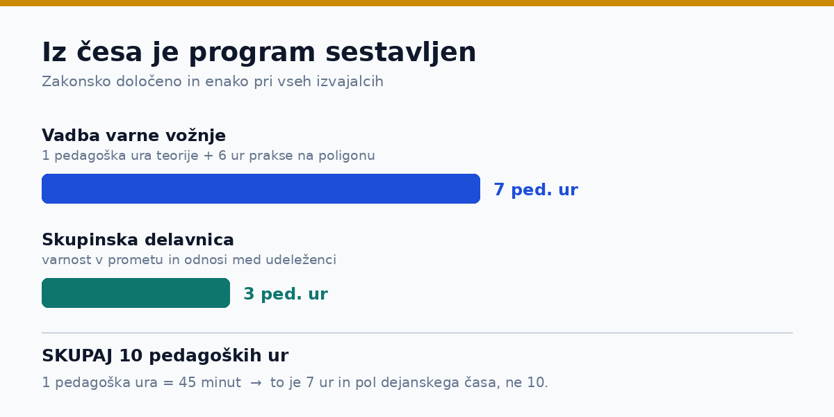 Sestava programa: sedem pedagoških ur vadbe in tri ure delavnice