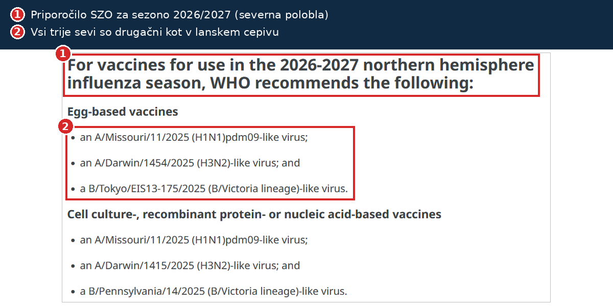 Priporočilo SZO za cepiva proti gripi v sezoni 2026/2027: trije novi sevi H1N1, H3N2 in B/Victoria
